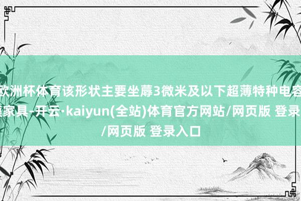 欧洲杯体育该形状主要坐蓐3微米及以下超薄特种电容薄膜家具-开云·kaiyun(全站)体育官方网站/网页版 登录入口